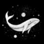 spacewha1es