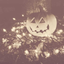 pumpkins-not-peaches-blog