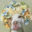 beautifulcreaturesandflowers