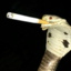 buddyguypal