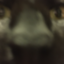 imdeletingmydudes