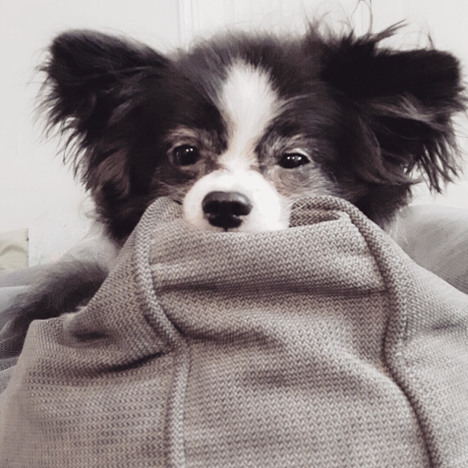 I may be quiet, but I have so much on my mind.