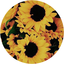sunbreaad-blog