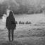 lonelypavy-blog