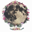 neoma-fay-blog