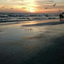 swimmingthesea