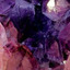 eclectic-insomniac