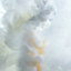 theantedrug