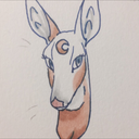 certifiedcervine: I’m really tired of the idea that all zoos or exotic pet owners