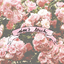 coolqueenofunicorns-blog