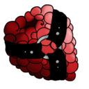 raspberrymazohyst avatar
