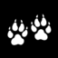 thewolfparty