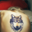 wild-wolf-blog1