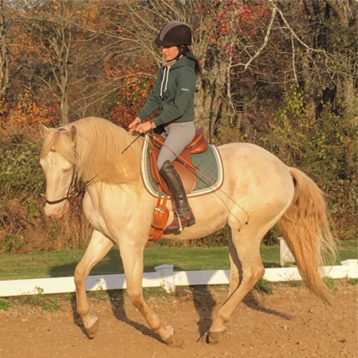 XXX theclassicalhorse:  I love that the poorly photo