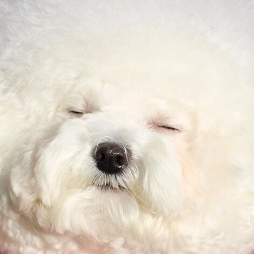pandadad:  Do u ever just stop breathing 