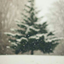 nocturneternity-b