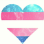 tranny-boys-blog