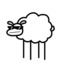 sheep-erka