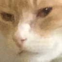 noisetalgic:  bunnybr0:  bunnybr0:  protect the destroy the idea that defend at all