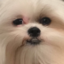 comealongquan