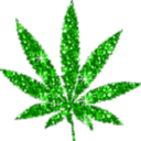 420cannabiskings avatar