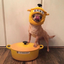 hoshi-the-dancing-crab