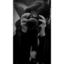 majitoramirez1999-blog