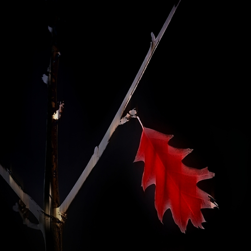 drpajchiwo:the land/ the great war 1914 (Nº 333)