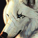 darkdoomwolf avatar