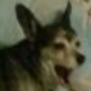 lunathesilverfox:  angelwithabluebox:   sing him happy birthday   Happy fucking birthday