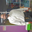 damian915666