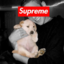 tisdopest