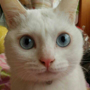 Welovekking:  慢慢张开的感觉  