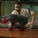 Poots In Boots
