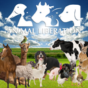 animalliberationnsw avatar