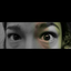 zayumont-blog