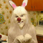 catdaddy777-blog1