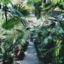 fuktheworldletsparty-blog