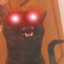 elucidateurownbeing