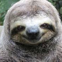 moreslothsplz avatar