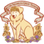 sydthecrystalkid-blog
