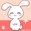 24zallurabbits