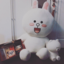 dellsyhlp