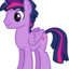 dusklight-shine-blog