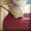 mayrinthecat