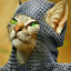 cheshacat