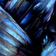 theshadowofthewings