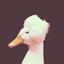 fancy-as-duck