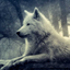 thenewthunder-blog
