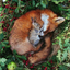 autumn-lass-blog